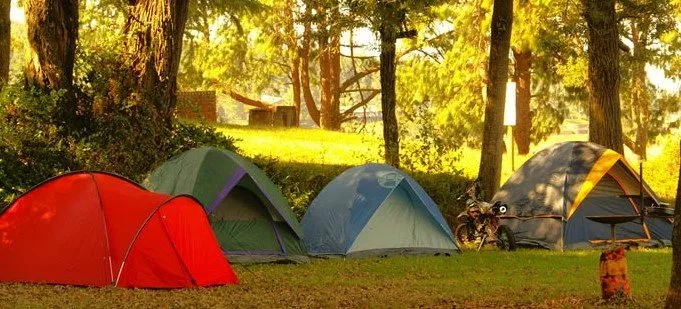 carpas